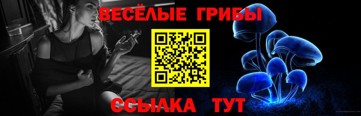 Галлюциногенные грибы MAGIC MUSHROOMS Новодвинск